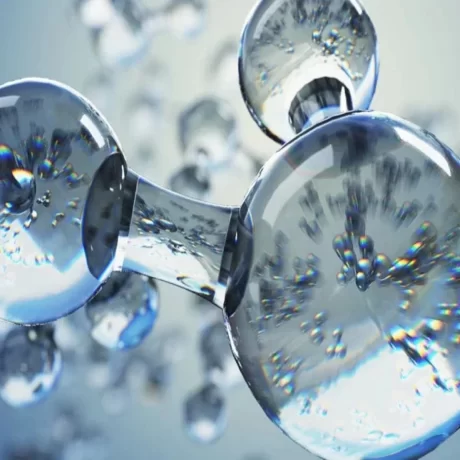 Disinfection & Purification