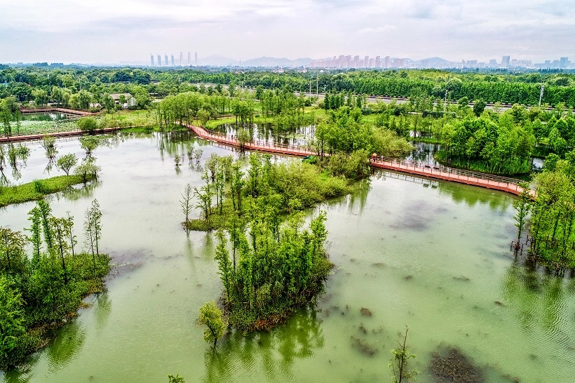 India’s Silent Water Crisis: 72% of Urban Wastewater Flows Untreated into Rivers and Land