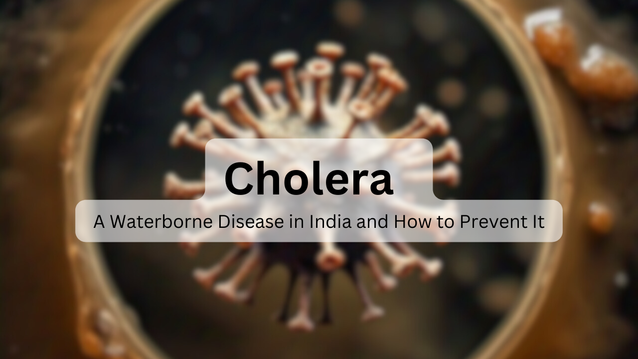 Cholera: A Waterborne Disease in India and How to Prevent It