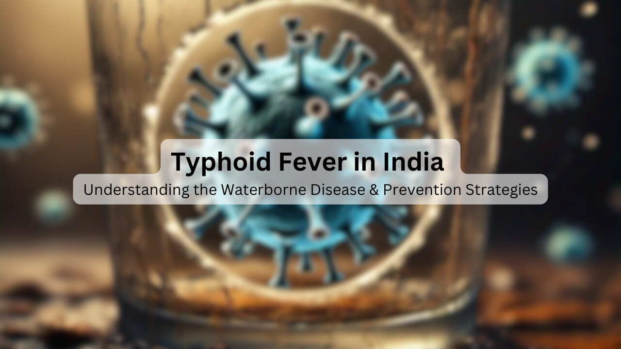 Typhoid Fever in India: Understanding the Waterborne Disease & Prevention Strategies