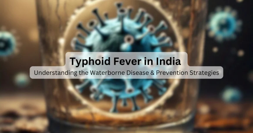 Typhoid Fever in India